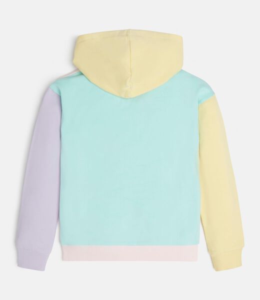 Color Block Sweatshirt
